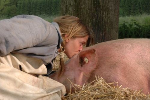 Von glücklichen Schweinen und Menschen - Film 